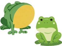 Noun Image