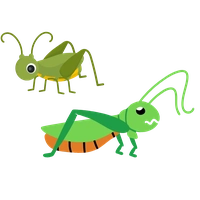 Noun Image
